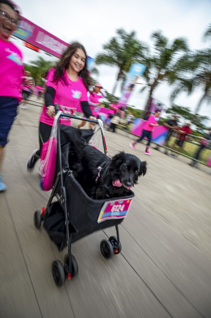 Corridas com Cachorro: Como Preparar o Seu Pet e Onde Correr 