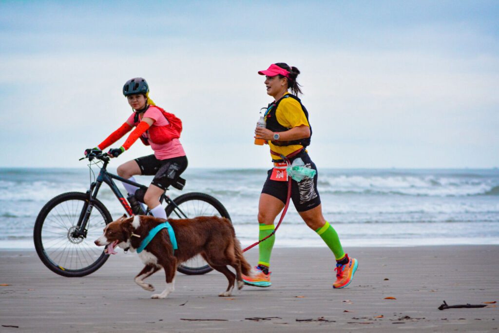 Corridas com Cachorro: Como Preparar o Seu Pet e Onde Correr